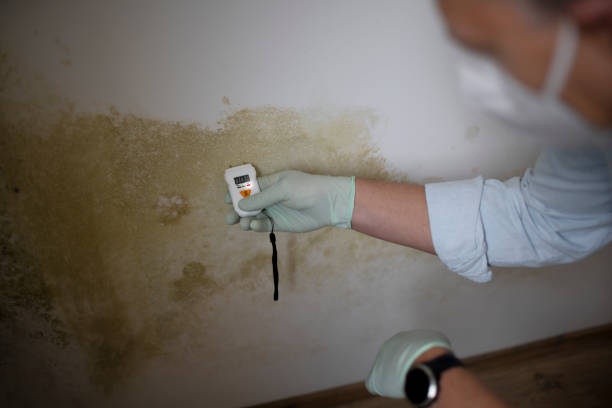 Forensic Mold Investigation